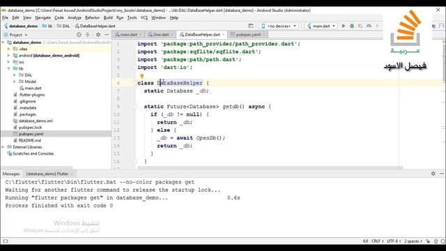 Flutter Lesson 54 _ Sqlite database Data Access Layer 1/5 смотреть онлайн
