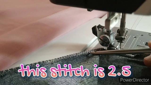 Bernette Bernina B38 Pico #bernette #bernina #stitching #viralvideo #decorative