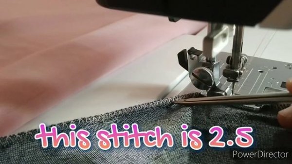 bernette bernina b38 Pico #bernette #bernina #stitching #viralvideo #decorative
