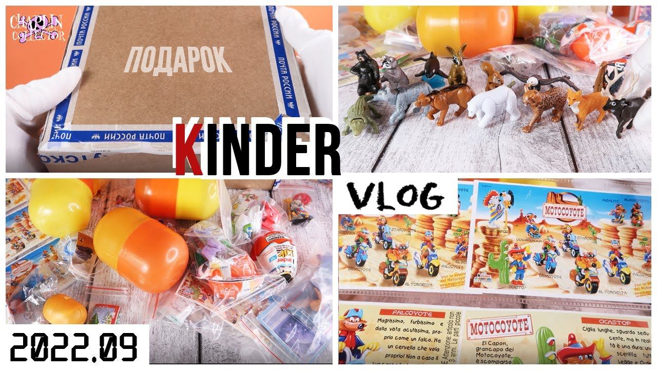 Долгожданный Kinder Vlog: закрытые серии, варианты вкладышей, подарок от подписчицы