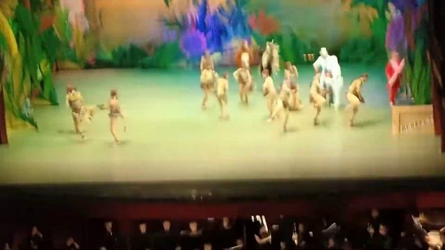 Балет Айболит.