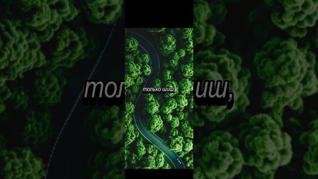 Афоризм смотреть онлайн