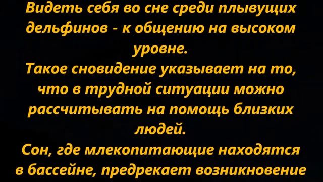 К чему снятся дельфины смотреть онлайн