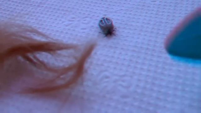 Путешествия с Пушистыми Парнями