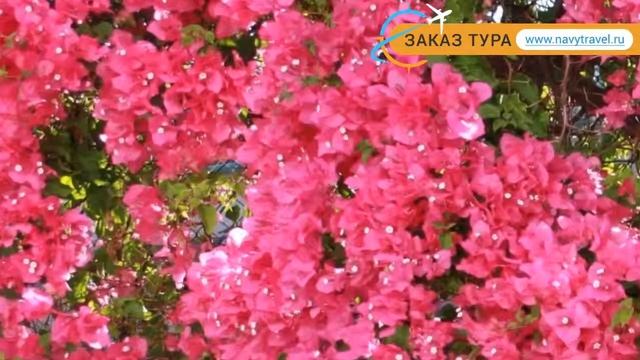 HERSONISSOS MARIS 4* Крит - Ираклион отзывы – отель ХЕРСОНИССОС МАРИС 4 Крит - Ираклион отзывы виде смотреть онлайн
