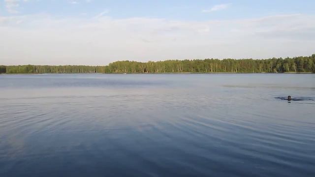 Брест,Рогознянское озеро,22.08.2012 смотреть онлайн