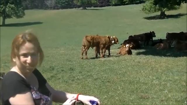 BLAIR CASTLE, BLAIR ATHOLL, SCOTLAND смотреть онлайн