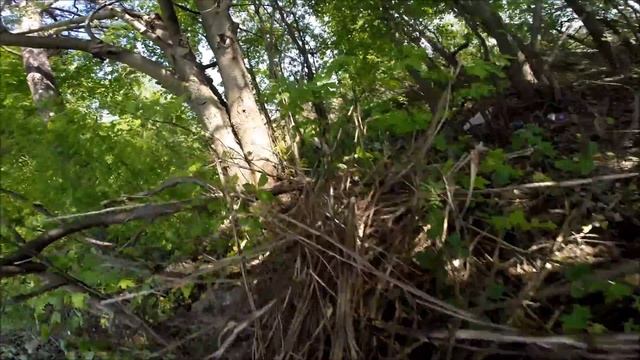 Старый забор из шлакоблоков смотреть онлайн