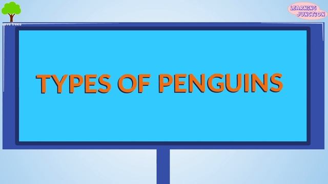Learn about Penguins | Penguin Information | Video for Kids смотреть онлайн