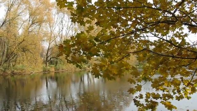 У Совхозного пруда смотреть онлайн