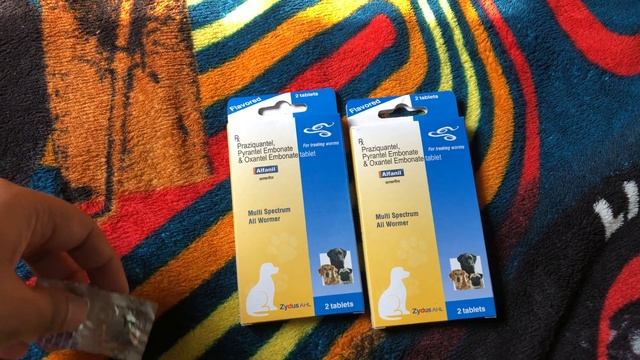 Deworming for puppy and dog | drontal plus vs Alfanil смотреть онлайн