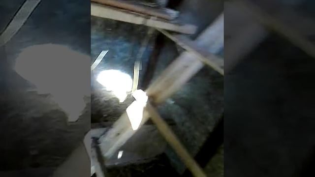 Наши курочки. смотреть онлайн