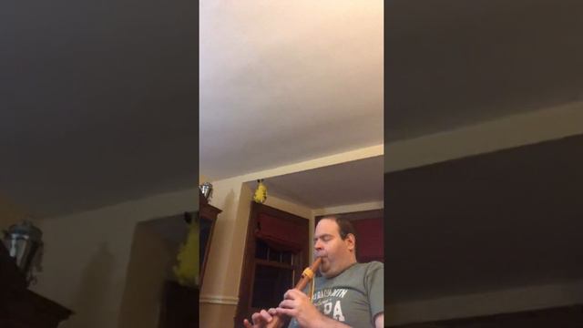 Improvising over chord changes with my JD Flute смотреть онлайн