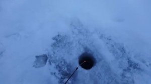 Снова за бершом на Горе-море. Пробуем ловить на Кастмастер с тюлькой.