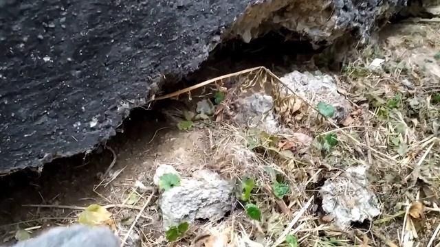 Конопатка сруба бани смотреть онлайн