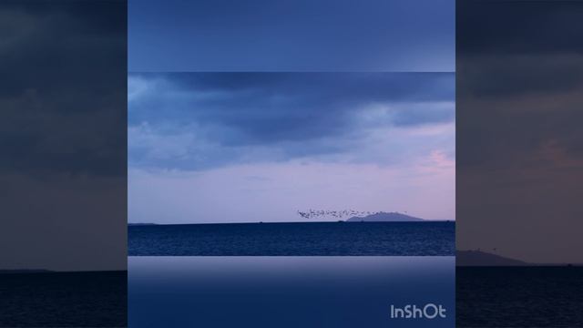 10-01-2024 смотреть онлайн