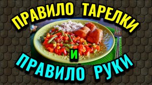 2 способа похудеть, не считая калории и баланс б/ж/у:  правило тарелки и правило руки.  № 604
