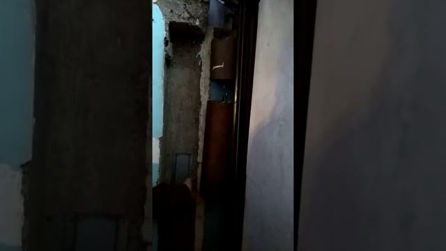 Поднимающиеся вверх теплые ворота смотреть онлайн