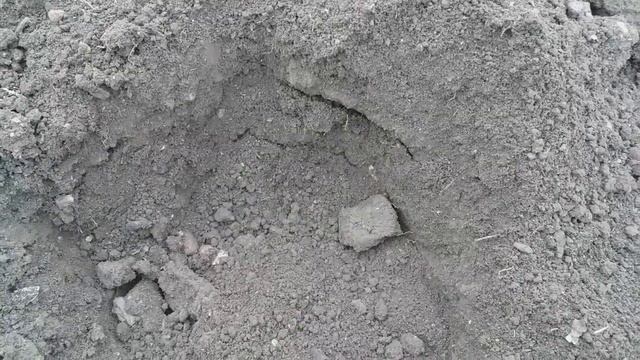 мой первый коп и первые находки.ЕСТЬ НА ЧТО ПОСМОТРЕТЬ)))))) смотреть онлайн