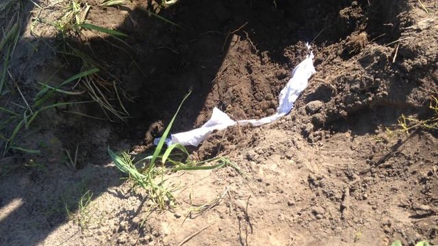 Aka Сигнум 7272 MFT против железа. смотреть онлайн