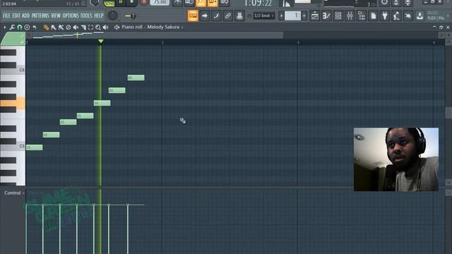 Understanding Notes in the Piano Roll - FL Studio for Beginners смотреть онлайн
