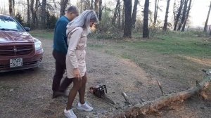 БЕНЗОПИЛА В РУКАХ У ЛЕНЫ. ЧТО СЛУЧИЛОСЬ? Crazy Life