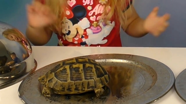 Обычная Еда против Мармелада Челлендж РОМА ПЛАЧЕТ! Real Food Vs Gummy Food Candy