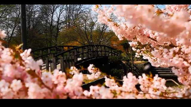 Beautiful Japanese Gardens Японский сад 日本庭園