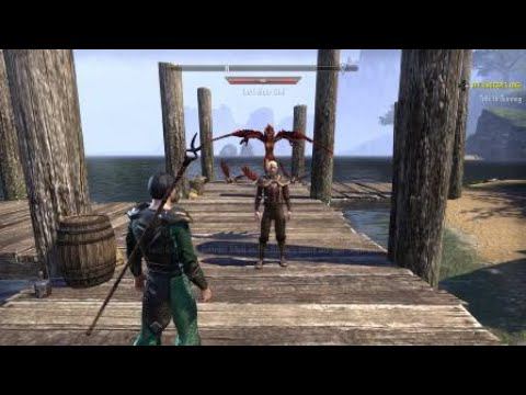 Funny action on background in The Elder Scrolls Online: Tamriel Unlimited смотреть онлайн