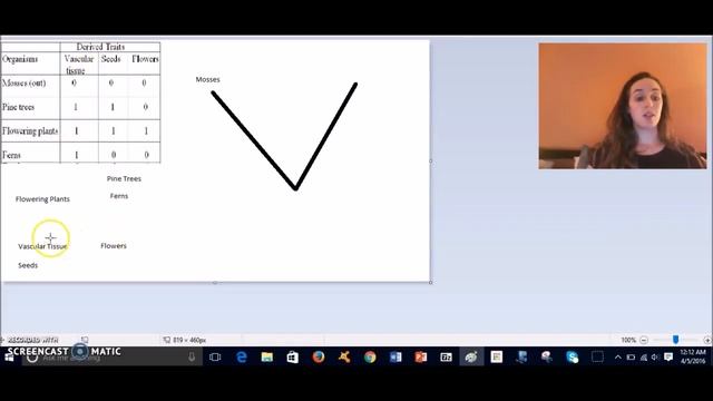 Making Phylogenetic Trees from Simple Data Tables смотреть онлайн