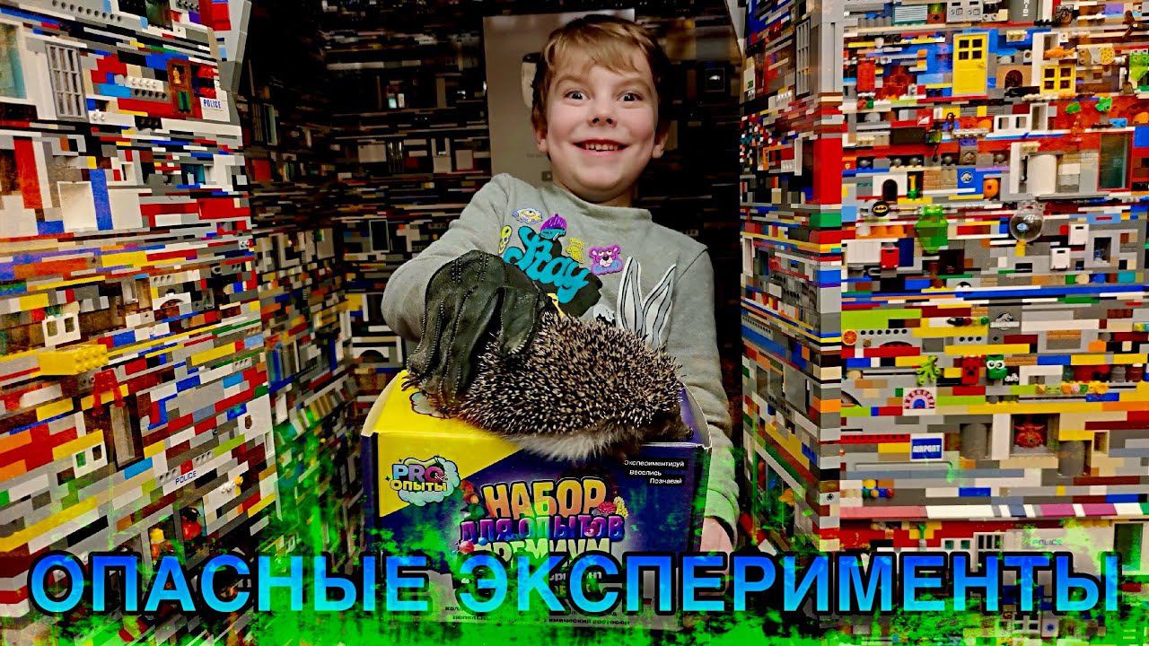 ЗЛОЙ ЁЖИК И ОПАСНЫЕ ЭКСПЕРИМЕНТЫ В ДОМЕ ИЗ ЛЕГО смотреть онлайн
