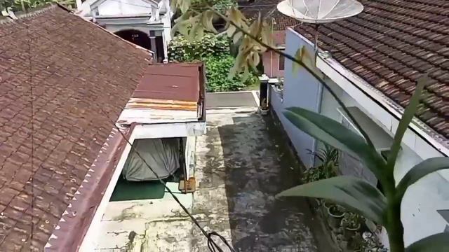 Cara Merawat Anggrek dari Kel.Bp/ibu Wahyono @kebunminibuhadi4177 смотреть онлайн