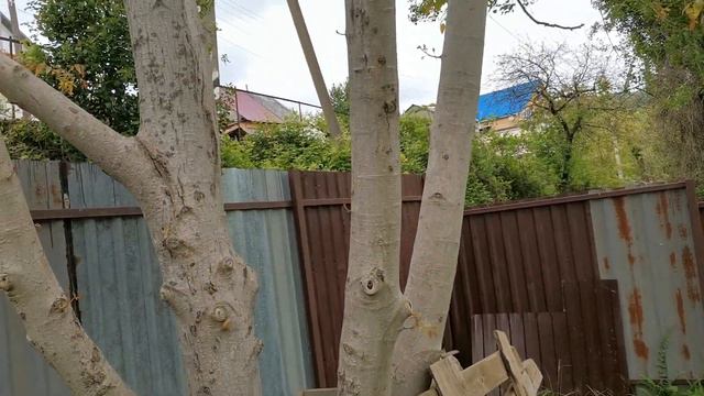 Сочи. Горное Лоо. Утро. +14°C. 10.05.2022г.© смотреть онлайн