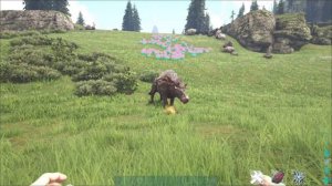 Как приручить Эндрюсарха в Ark: Survival Evolved без потери вещей? | Soowin |