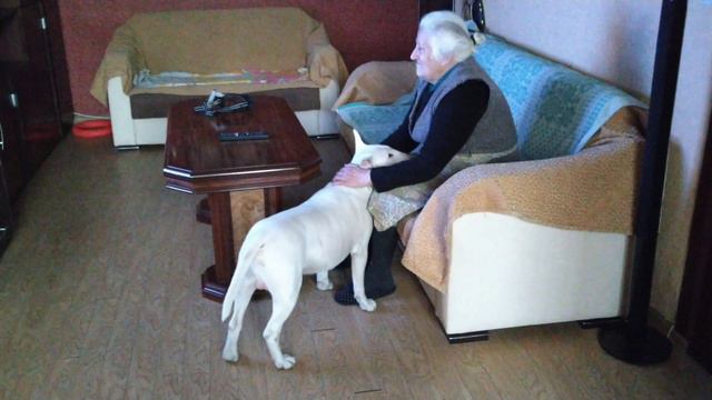 Дэнчик и бабушка 🐶🤶 5,5 Year's смотреть онлайн