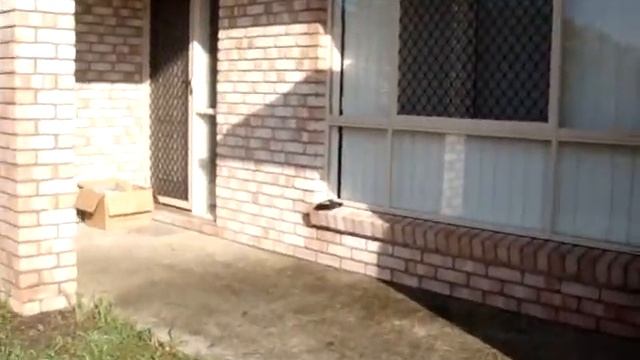 23 Redunca Place, Moggill (1 of 10) смотреть онлайн