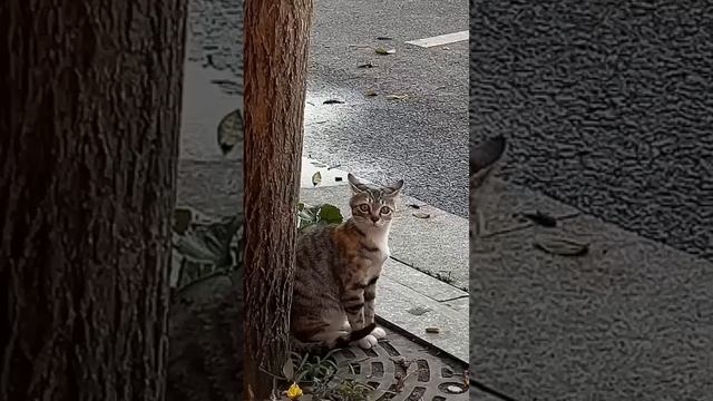 Super fails 🥵🥵 #fail #shorts #viral смотреть онлайн