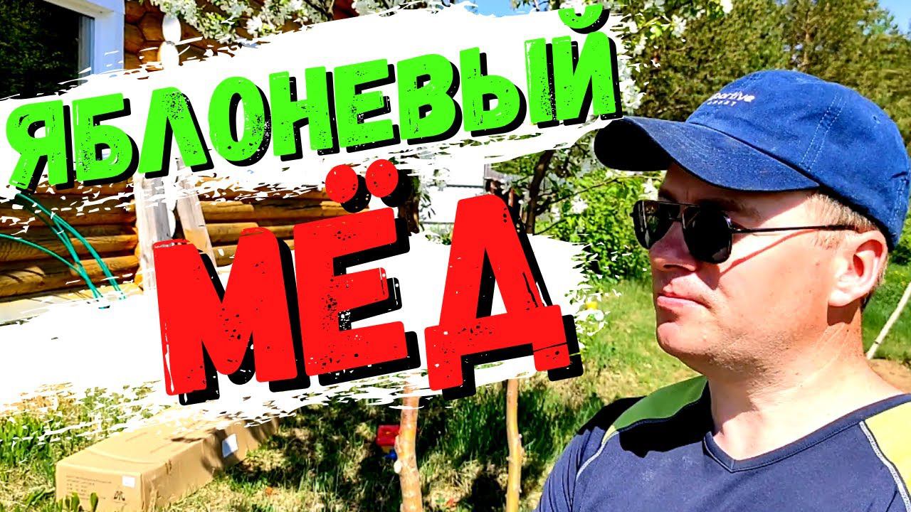 Будет ОДУВАНЧИКОВЫЙ и ЯБЛОНЕВЫЙ МЁД. Работа пчёл на цветах #44 смотреть онлайн