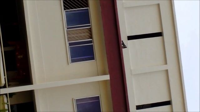 Stop Abandon Them : Episode 2 смотреть онлайн