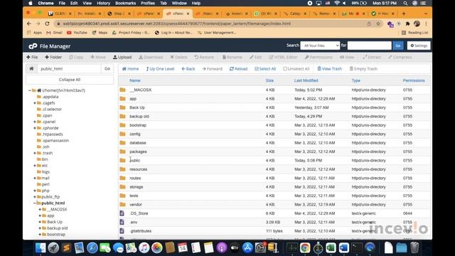 How to install zCart Marketplace on cPanel based server | zCart Marketplace смотреть онлайн