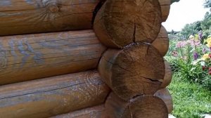 Бревно оцилиндрованное или брус профилированный. Из чего строить лучше. Пять лет эксплуатации.