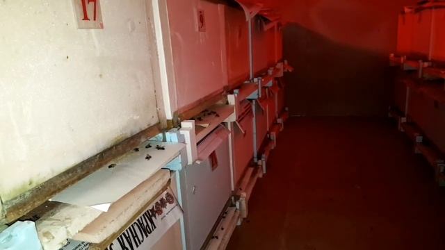 Зимовка пчёл в каркасном зимовнике. смотреть онлайн
