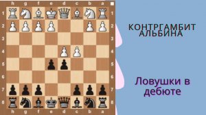 Самый быстрый разгром в дебюте!Контргамбит Альбина!Шахматы.