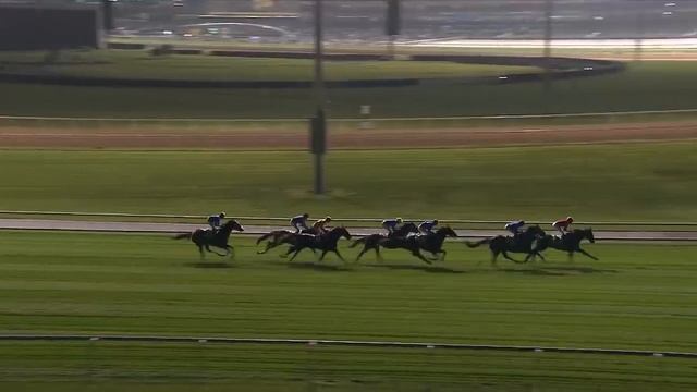 [ALL RACES] Dubai World Cup Carnival - 20 February 2020