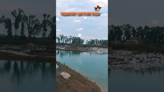 Рыбалка Хлорелла Как запустить хлореллу в пруды Здесь мамы купаются а папы рыбу ловят #shorts смотреть онлайн