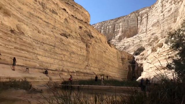 Эйн-Авдат. Пустыня Израиля. Нереально красивое место смотреть онлайн