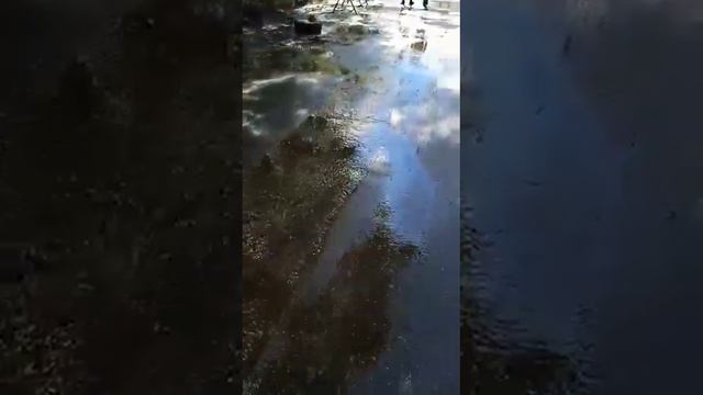 такая вода идёт в Краснодаре к детской площадке и жилому дому Воронежская 40 а глава думает питьева смотреть онлайн