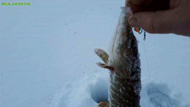 На Увильды за Щукой и Окунем! смотреть онлайн