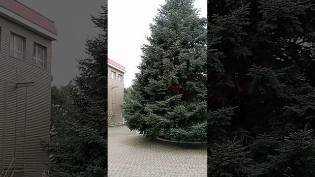 Авторское стихотворение Елены Аланиной " Поиск сути бытия". Геленджик. смотреть онлайн