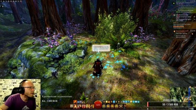Guild Wars 2 - прохождение сюжета живой истории - No Quarter